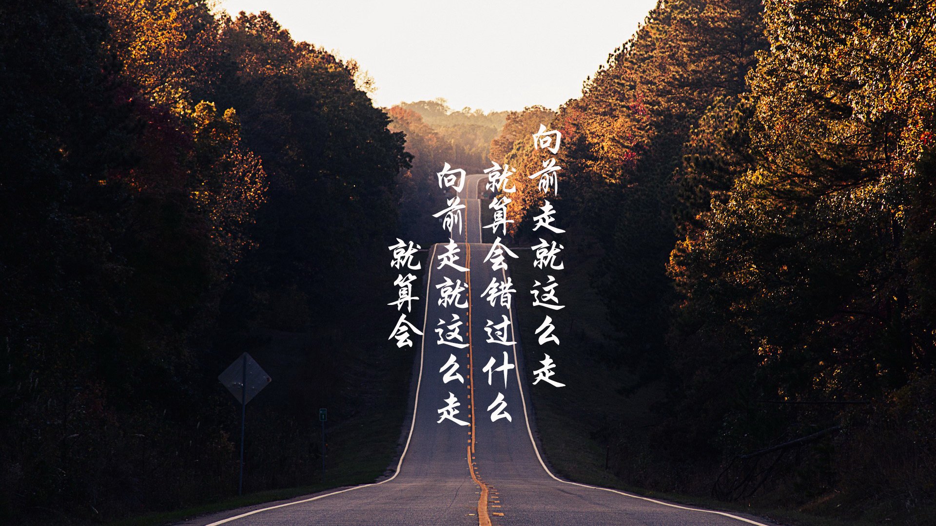 最新电视剧2021（最新电视剧2021热播剧排行榜）