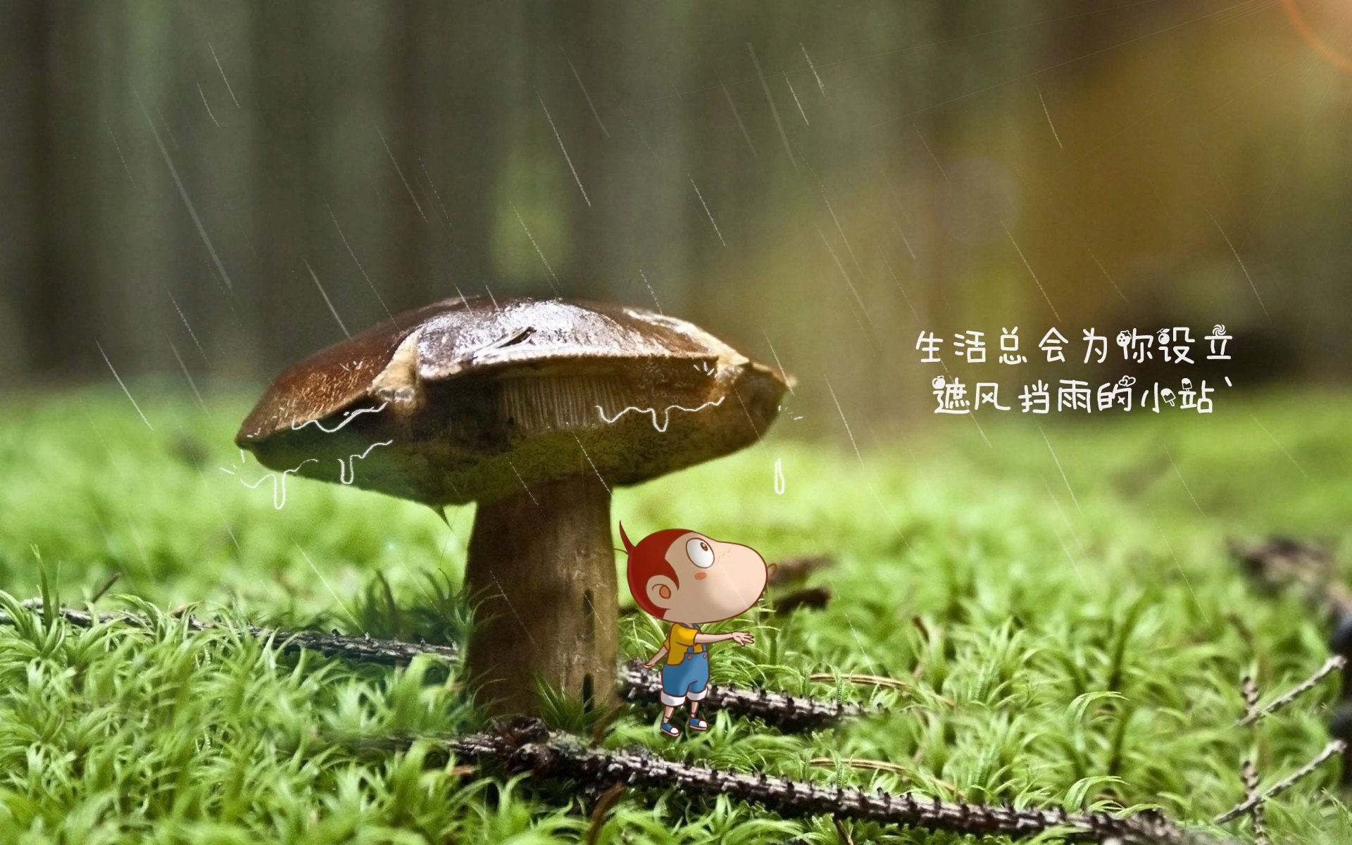最好最全的电视剧app（电视剧app排行榜前十名）